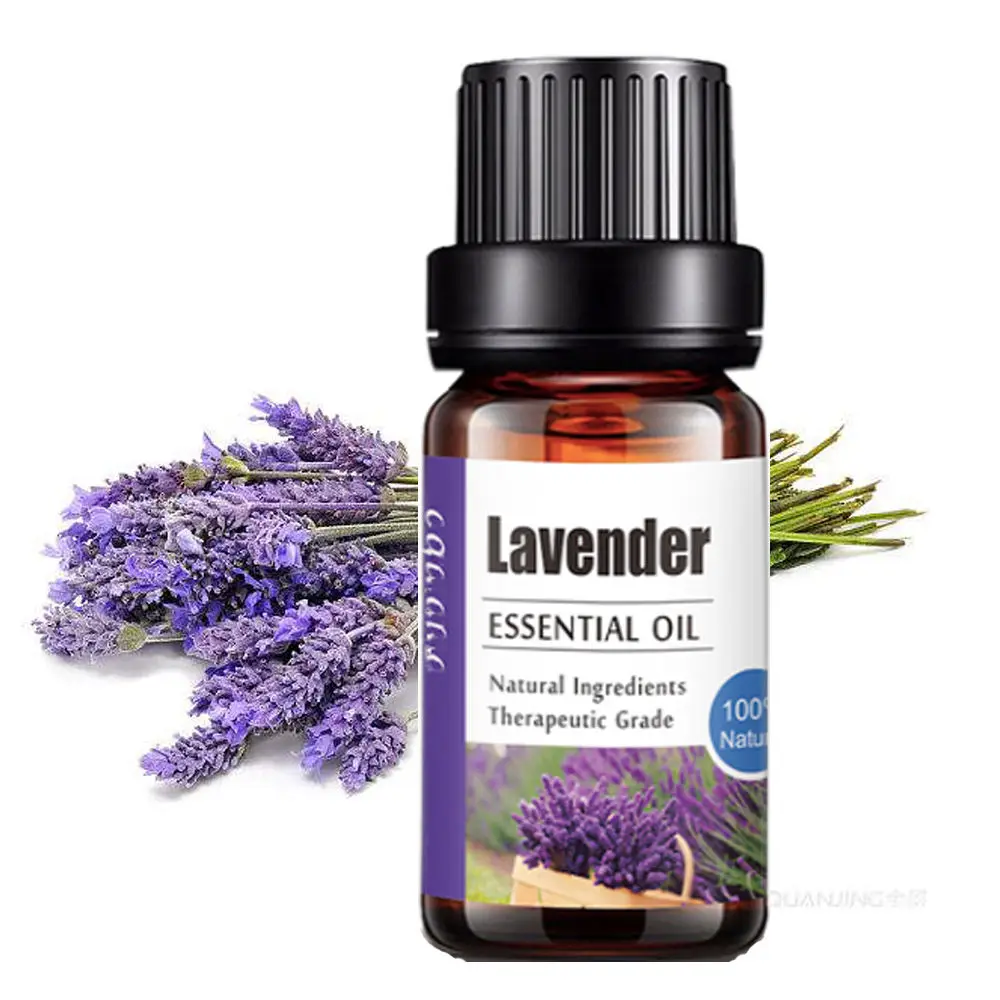 ERBOLO 10ml Pure Plant Essenti – Sandalwood Perfume Oil recenzja i cena